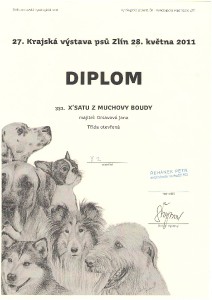 diplom-satu.jpg